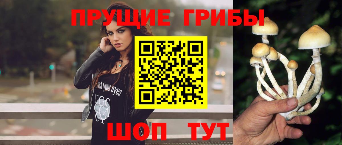 Галлюциногенные грибы GOLDEN TEACHER  Вход с VPN  Каспийск  Псилоцибиновые грибы прущие грибы 